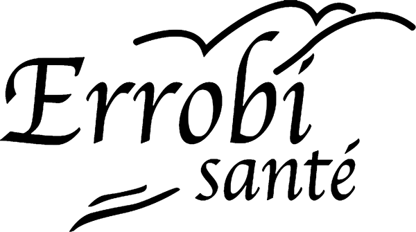 Logo Errobi Santé