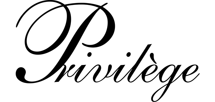 Logo Privilège Sécurité