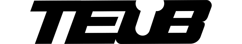 Logo Teub