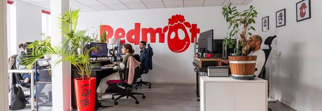 Accompagnement Agence Wordpress à Biarritz
