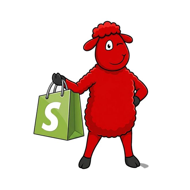 Boutique Shopify d'une marque biarrote vendant à l'étranger