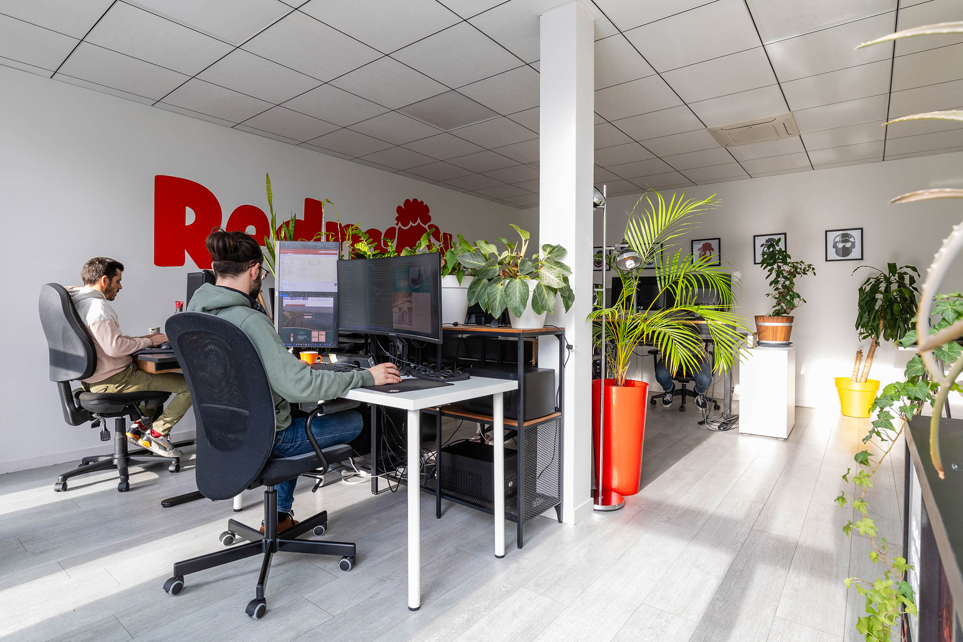 Création de site internet pour une franchise