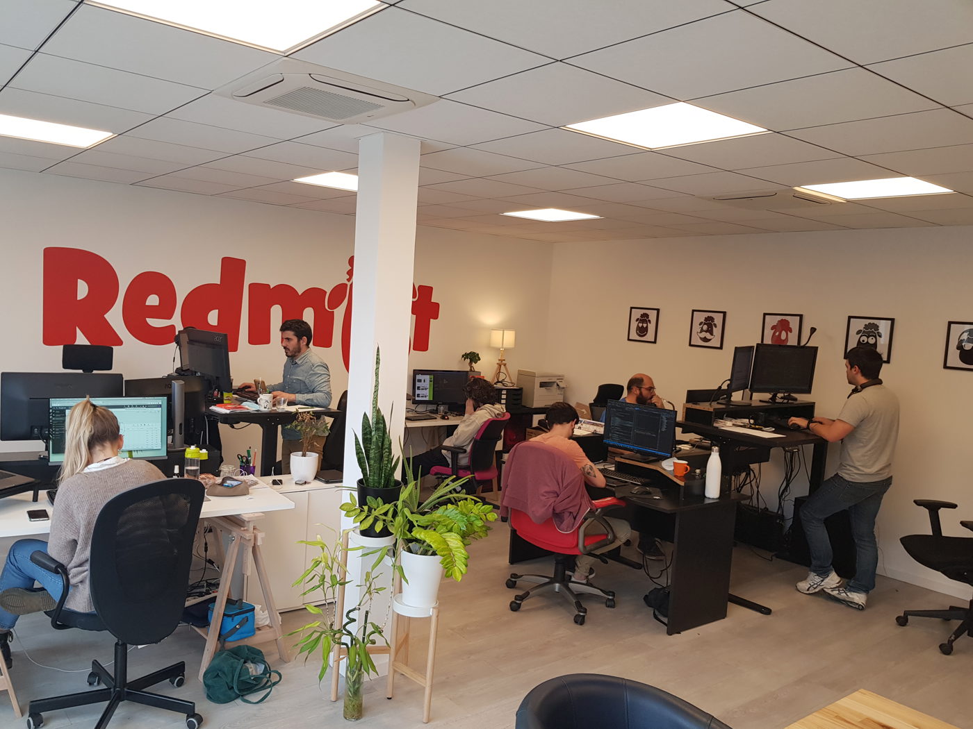 E-Commerce & Vente en ligne — visuel 3